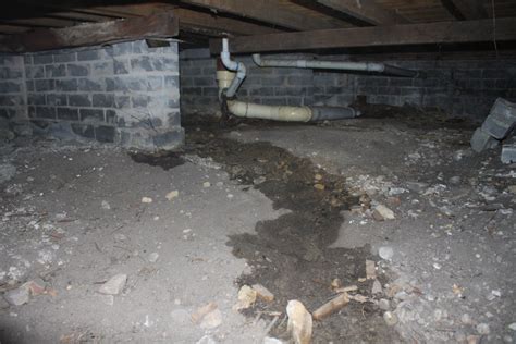 sewage leak in crawl space|How to Clean Up Sewage in a Crawl Space: 7 Critical。